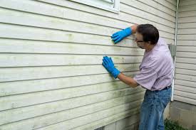 Best Custom Siding Design  in Garfield, NJ